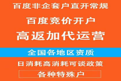 竞价SEM成功案例解析：关键词优化策略